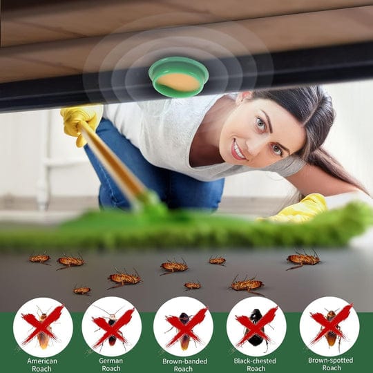 Cockroach Killer Powder Gel 70% OFF